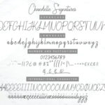 Chandelle Font Poster 10