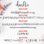 Charllie Script Font Poster 3