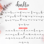 Charllie Script Font Poster 4