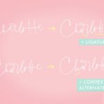 Charlotte Script Font Poster 13