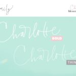 Charlotte Script Font Poster 14