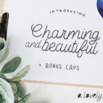 Charming & Beautiful Font Poster 1