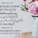 Charming Provence Font Poster 9