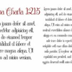 Chattelyne Font Poster 10