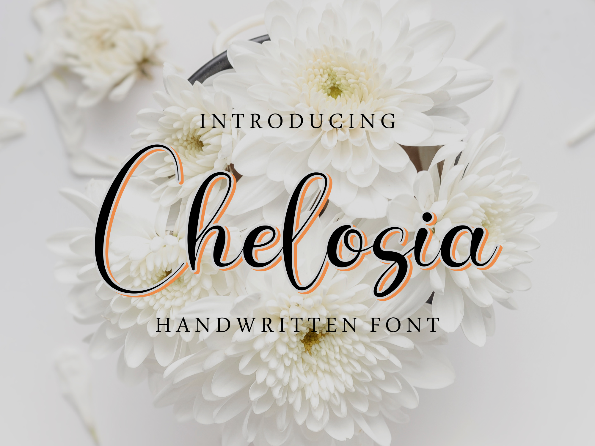 Chelosia Font Poster 1