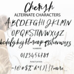 Cherish Font Poster 9