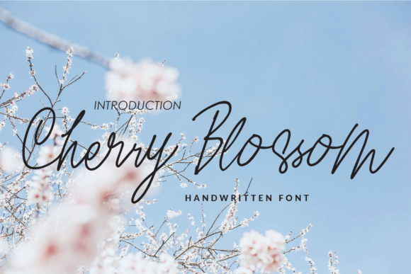 Cherry Blossom Font