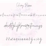 Cherry Blossom Font Poster 6