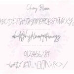 Cherry Blossom Font Poster 8
