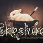 Cheshire Font Poster 1