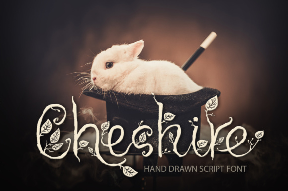 Cheshire Font Poster 1