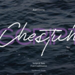 Chestuh Duo Font Poster 1