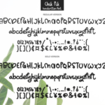 Chik Pik Font Poster 6