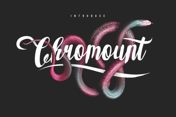 Chromount Script Font Poster 1