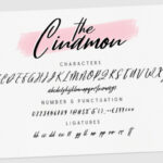 Cinamon Font Poster 5