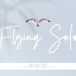 Collibry Font Poster 3