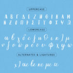 Coolscript Font Poster 10