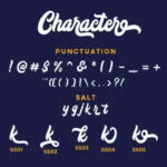 Copacetic Font Poster 3