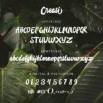 Creasi Font Poster 2