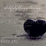 Creative Signature Font Poster 10