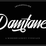 Damtane Font Poster 8