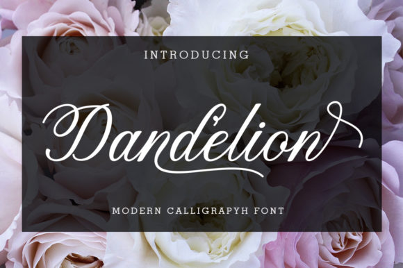 Dandelion Script Font