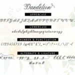 Dandelion Script Font Poster 5