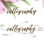 Daniesha Font Poster 3