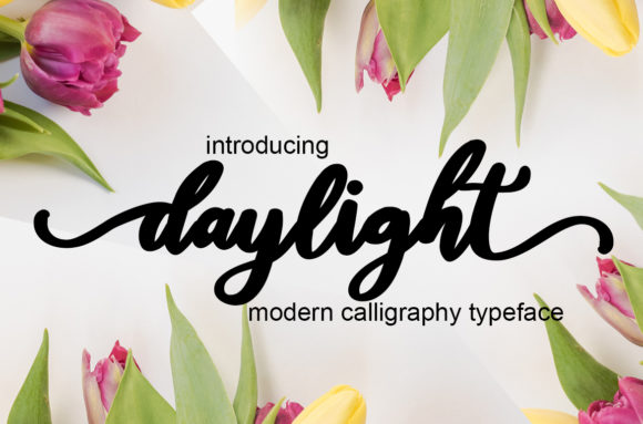 Daylight Font Poster 1