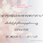 Daysha Font Poster 13