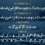 Debtos Font Poster 3