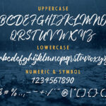 Debtos Script Font Poster 7