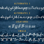Debtos Script Font Poster 8