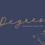 Degres Script Font Poster 1