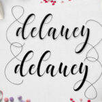 Delaney Font Poster 2