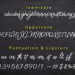 Delfoo Font Poster 9