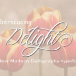 Delight Font Poster 1