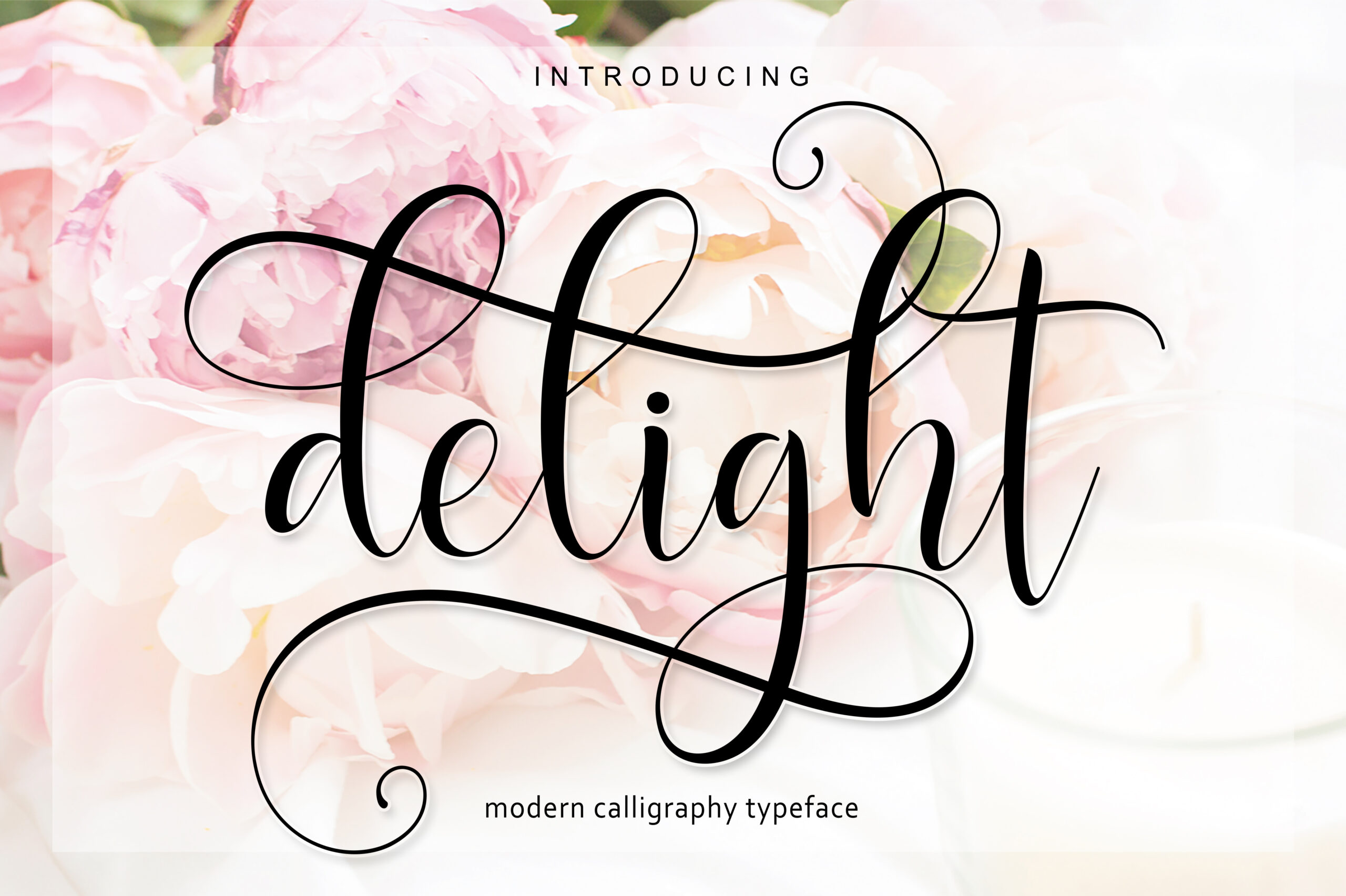 Delight Script Font Poster 1