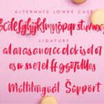 Delighted Font Poster 8