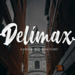 Delimax Font Poster 1