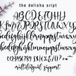 Delisha Script Font Poster 13
