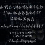 Dellamonde Script Font Poster 13