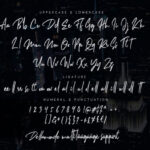 Dellamonde Script Font Poster 13