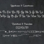 Delponta Script Font Poster 3