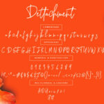 Dettachment Font Poster 7