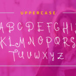 Diana Moon Font Poster 6