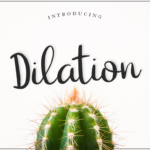 Dilation Font Poster 1