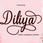 Diliya Font Poster 1