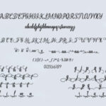 Diliya Font Poster 8
