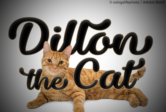 Dillon the Cat Font Poster 1